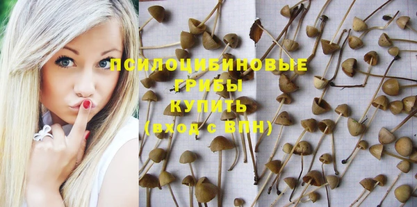 первитин Алексеевка