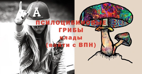 первитин Алексеевка
