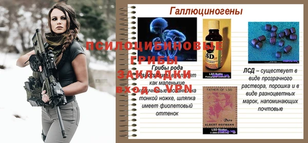 герыч Алзамай