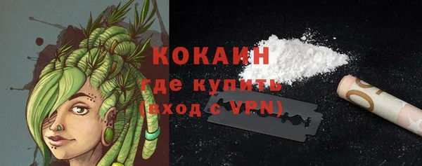 соль курить ск Новодвинск