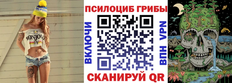 где купить наркоту  Обоянь  Псилоцибиновые грибы Psilocybine cubensis 